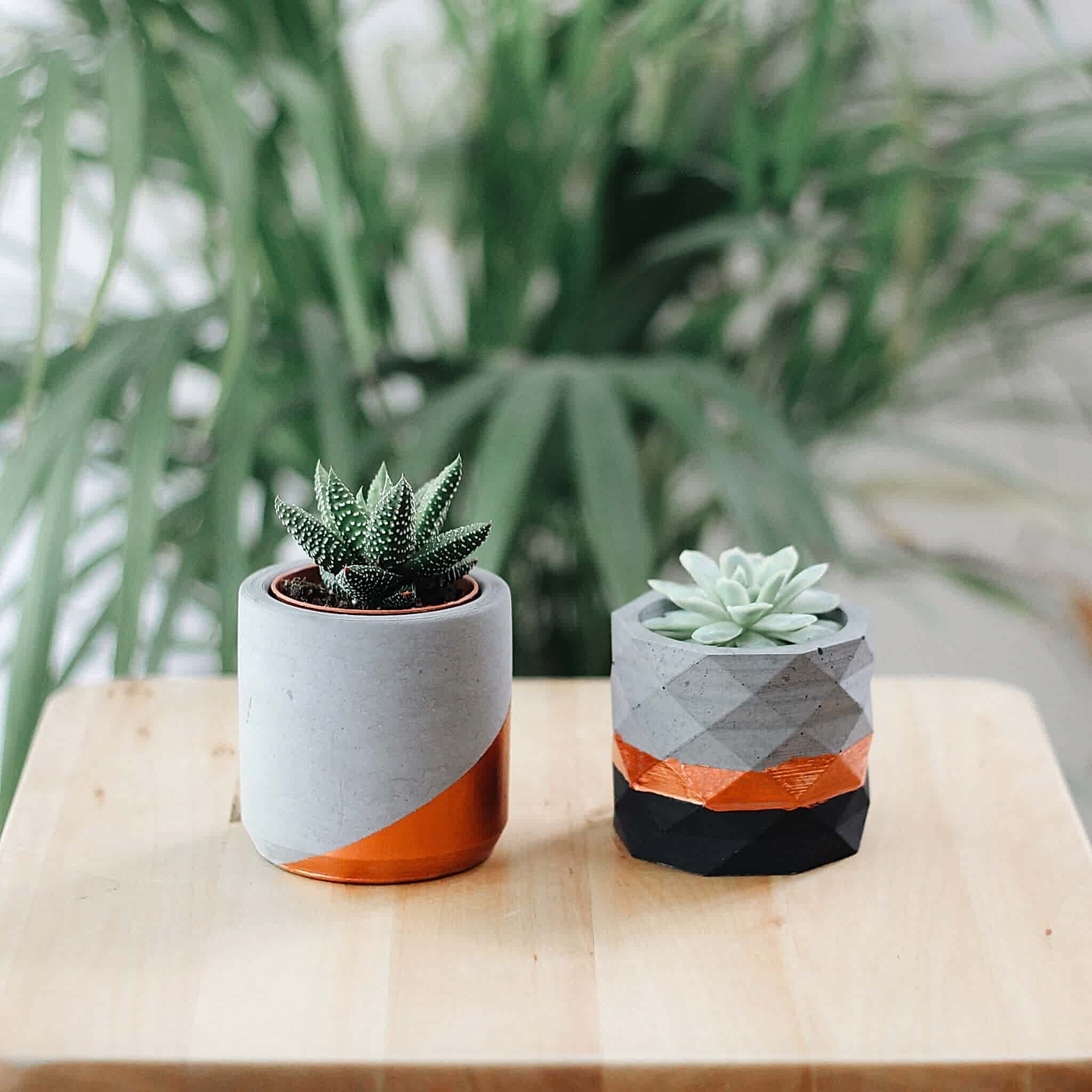 Processed with VSCO with a6 preset