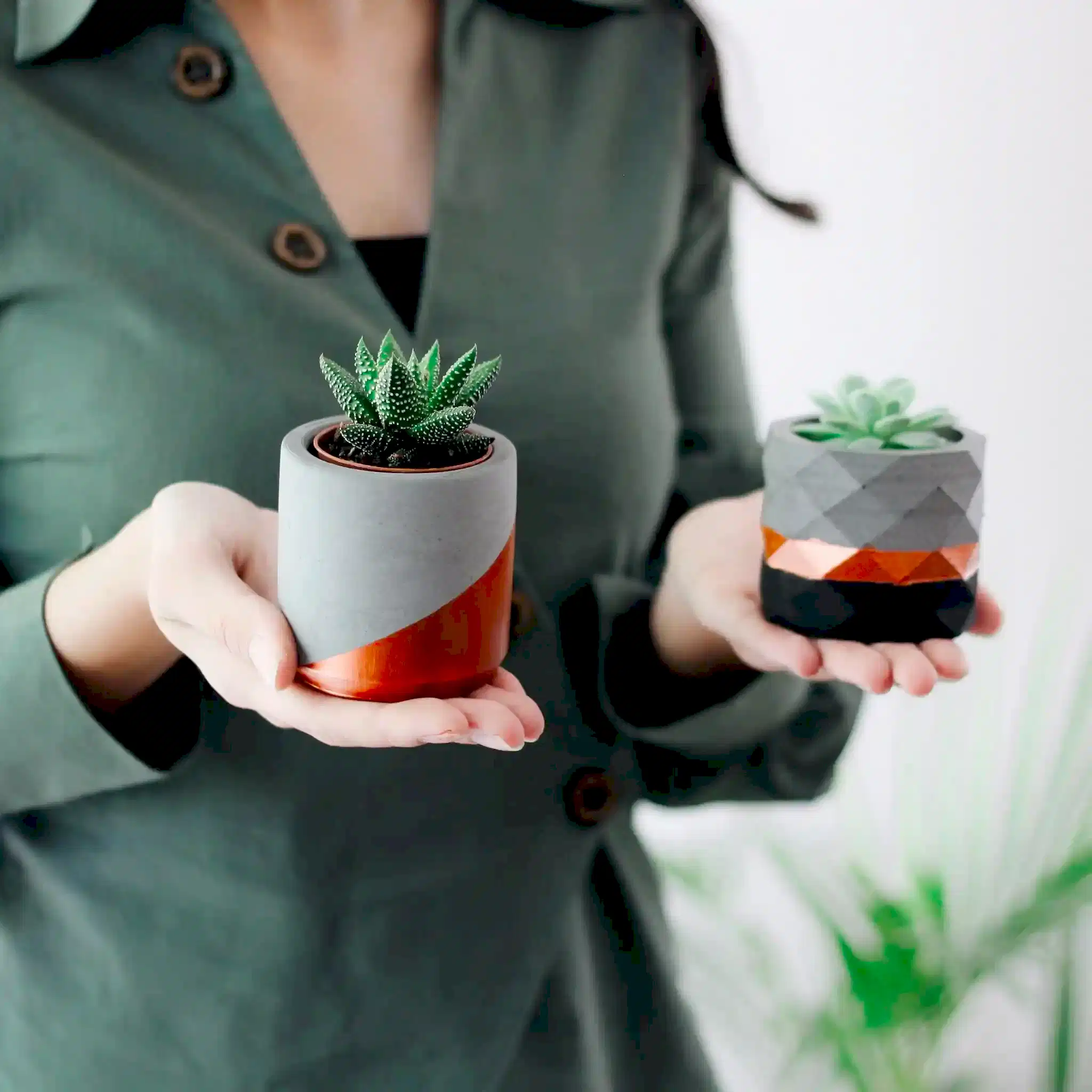 Kreatif Atölye Beton Saksı Sukulent Atölyesi (12)-converted